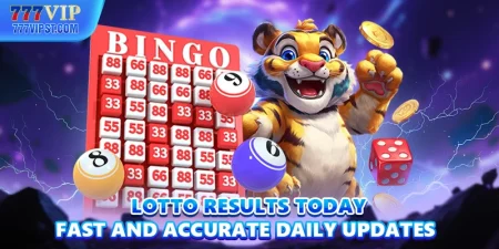 Lotto Results Today Fast and Accurate Daily Updates